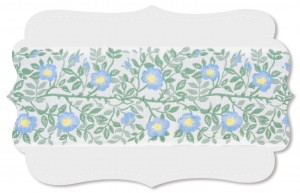 Heckenrose Heckenrose