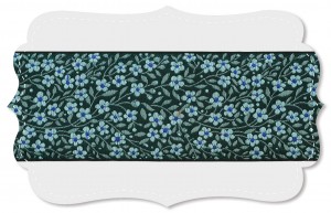 Vergissmeinnicht breit Vergissmeinnicht breit