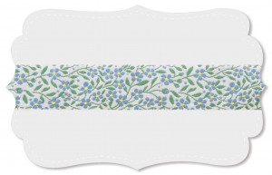 Kleines Vergissmeinnicht Kleines Vergissmeinnicht