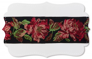 Pfingstrose Pfingstrose