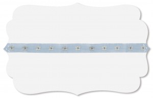 Vergissmeinnicht Blüte Vergissmeinnicht Blüte