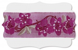 Kirschblüten Kirschblüten