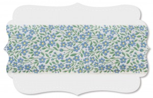 Vergissmeinnicht breit Vergissmeinnicht breit