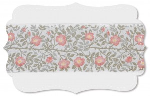 Heckenrose Heckenrose