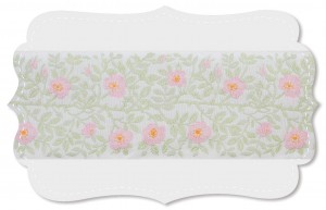 Heckenrose Heckenrose