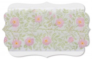 Heckenrose breit Heckenrose breit