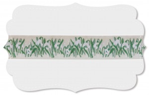 Schneeglöckchen Schneeglöckchen