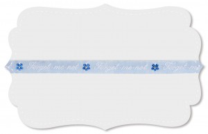 Vergissmeinnicht Vergissmeinnicht