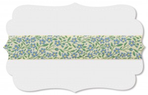 Kleines Vergissmeinnicht Kleines Vergissmeinnicht