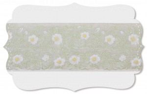 Heckenrose Heckenrose